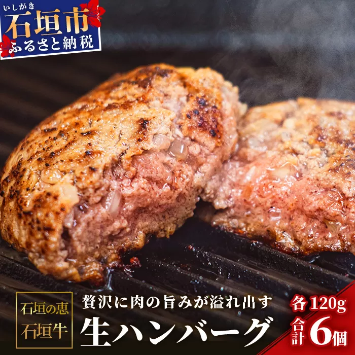 【産地直送】石垣の恵 石垣牛 生ハンバーグ6個【合計720g】【日本最南端の黒毛和牛】KB-101