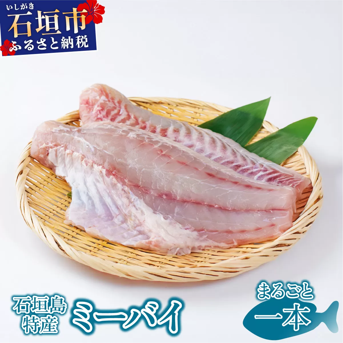 石垣島特産ミーバイ（ヤイトハタ）丸ごと1本 KS-13