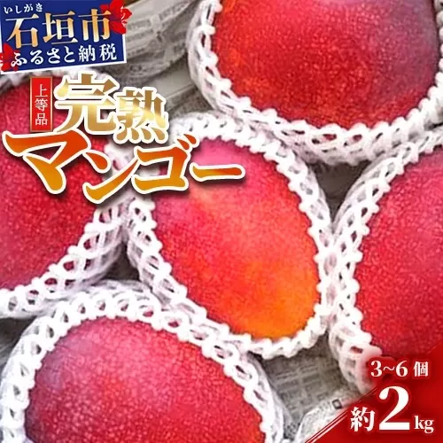 【先行予約】石垣島産 完熟マンゴー 約2kg エコ箱入り（3〜6個入り）2025年6月末～7月下旬発送 SI-32