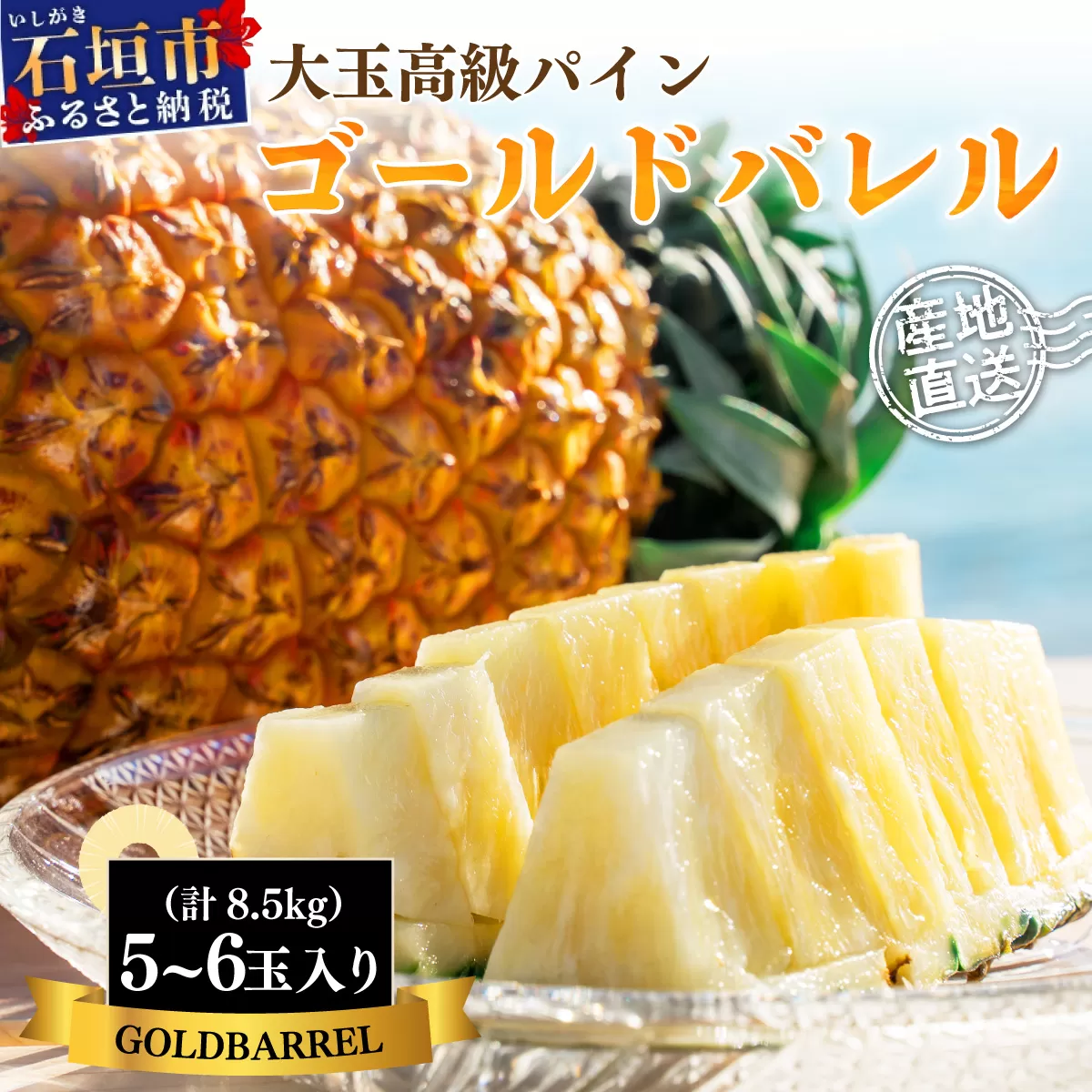 【先行予約】《2025年夏季 順次発送》石垣島産・ゴールドバレルパイン 大玉5〜6個入り SI-8-2