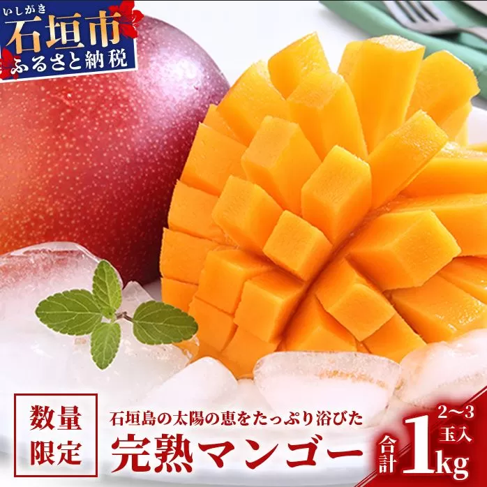 【2025年発送 先行予約】石垣島のマンゴー 1kg 2～3玉【沖縄県 石垣市 産地直送 旬 石垣島産 マンゴー 完熟マンゴー アーウィン種マンゴー】申し込みは今のうちに！フルーツ先行予約 HI-1