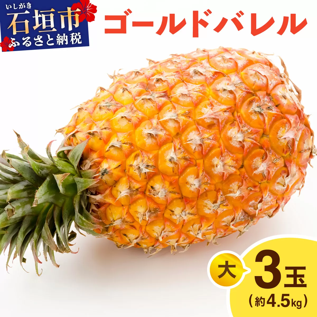 ≪5月上旬順次発送≫ゴールドバレル 大 3玉（約4.5kg） TP-17