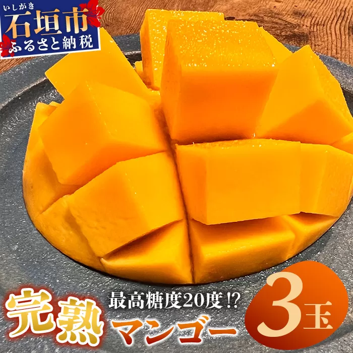 《2025年6月下旬〜7月発送》【先行予約】最高糖度20度！？ 完熟！3Lサイズ 石垣島マンゴー 3玉入り【 沖縄 石垣島 石垣 八重山 マンゴー 完熟 期間限定 数量限定 沖縄県 石垣島産 】TF-28