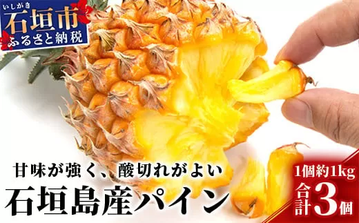 【先行受付】石垣パイン 3個セット ボゴール種【2025年5月初旬〜6月初旬発送予定】MI-4-1 パイナップル パインアップル 石垣島パイン フルーツ 果物 くだもの 南国フルーツ 国産パイン
