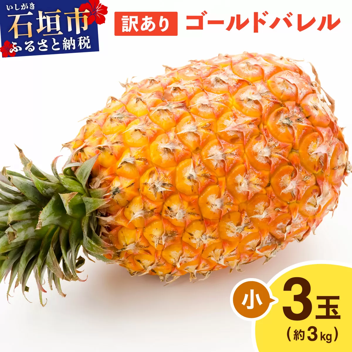 ≪5月上旬順次発送≫ 訳あり ゴールドバレル 小 3玉（約3kg） TP-18