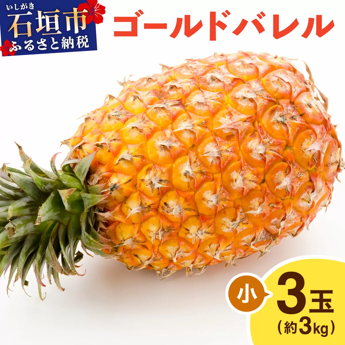 ≪5月上旬順次発送≫ゴールドバレル 小 3玉（約3kg） TP-15