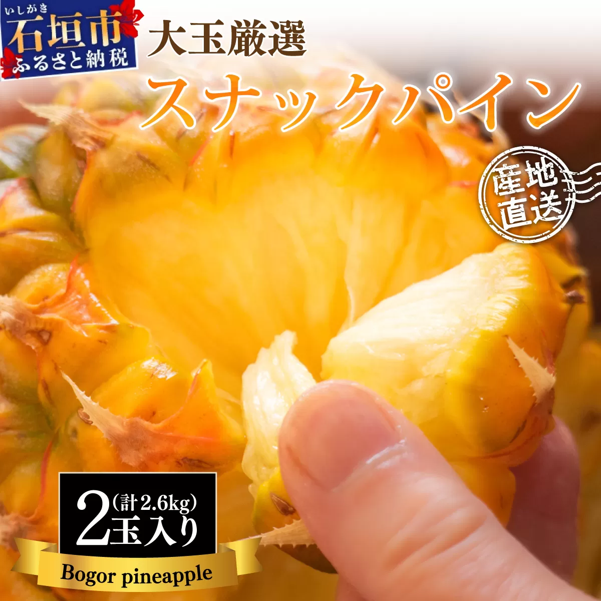 【先行予約】《2025年夏季 順次発送》石垣島産・スナックパイン、ずっしりの「大玉」2個入り SI-25