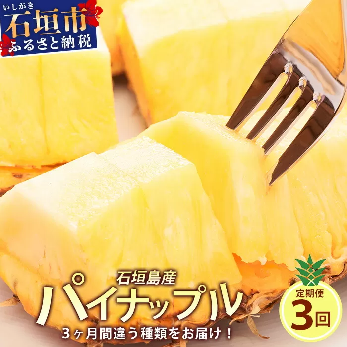 【予約受付】【定期便】石垣島産 パイナップル 3回 定期 3種 計6玉【2026年 5月頃・6月・7月頃お届け】 ふるさと納税 パイナップル パイン フルーツ 果物 果実 定期便 定期 3回 3か月 沖縄県 石垣市 石垣島 産地直送 ふるさと 人気 送料無料 KP-18