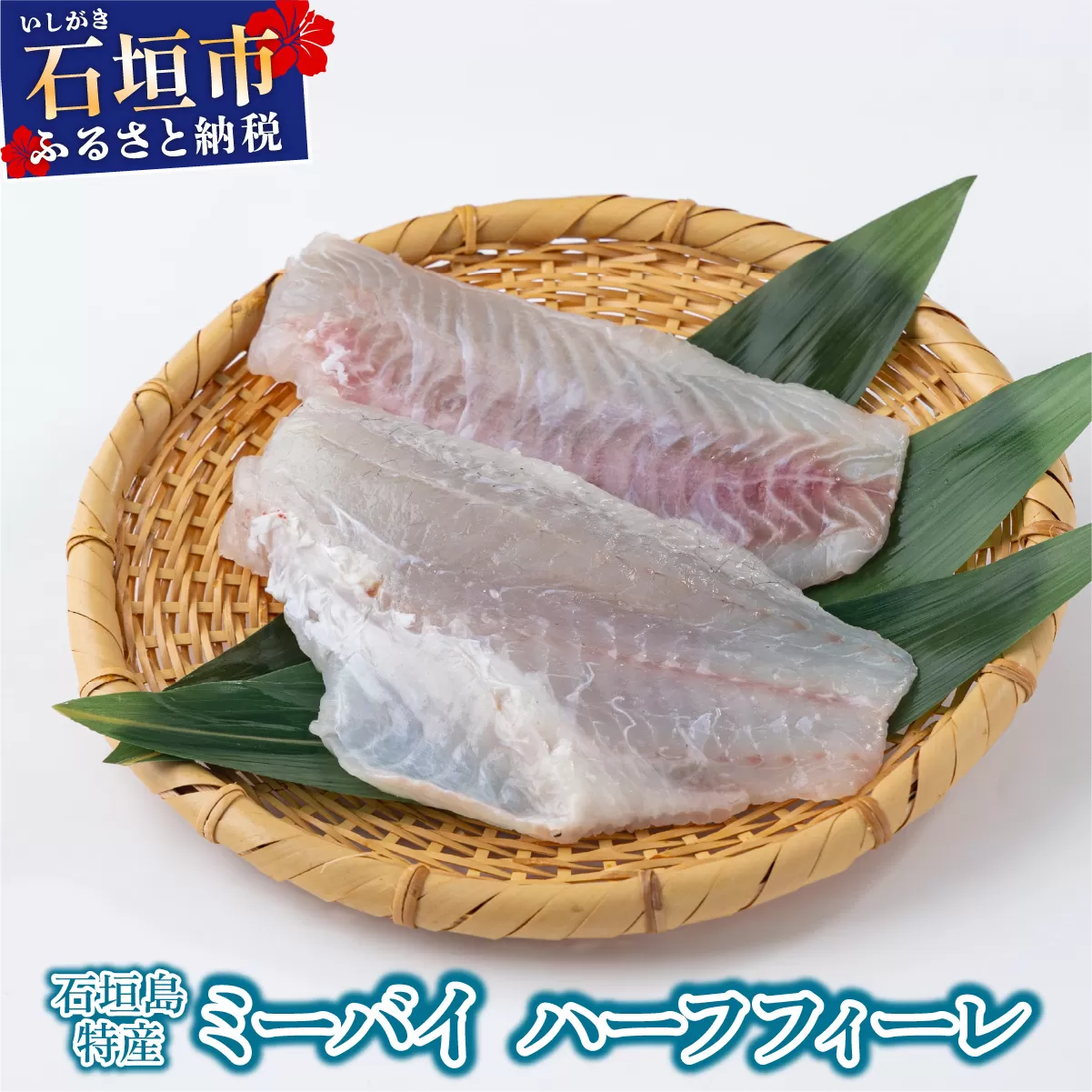 石垣島特産ミーバイ（ヤイトハタ）ハーフフィーレ KS-15