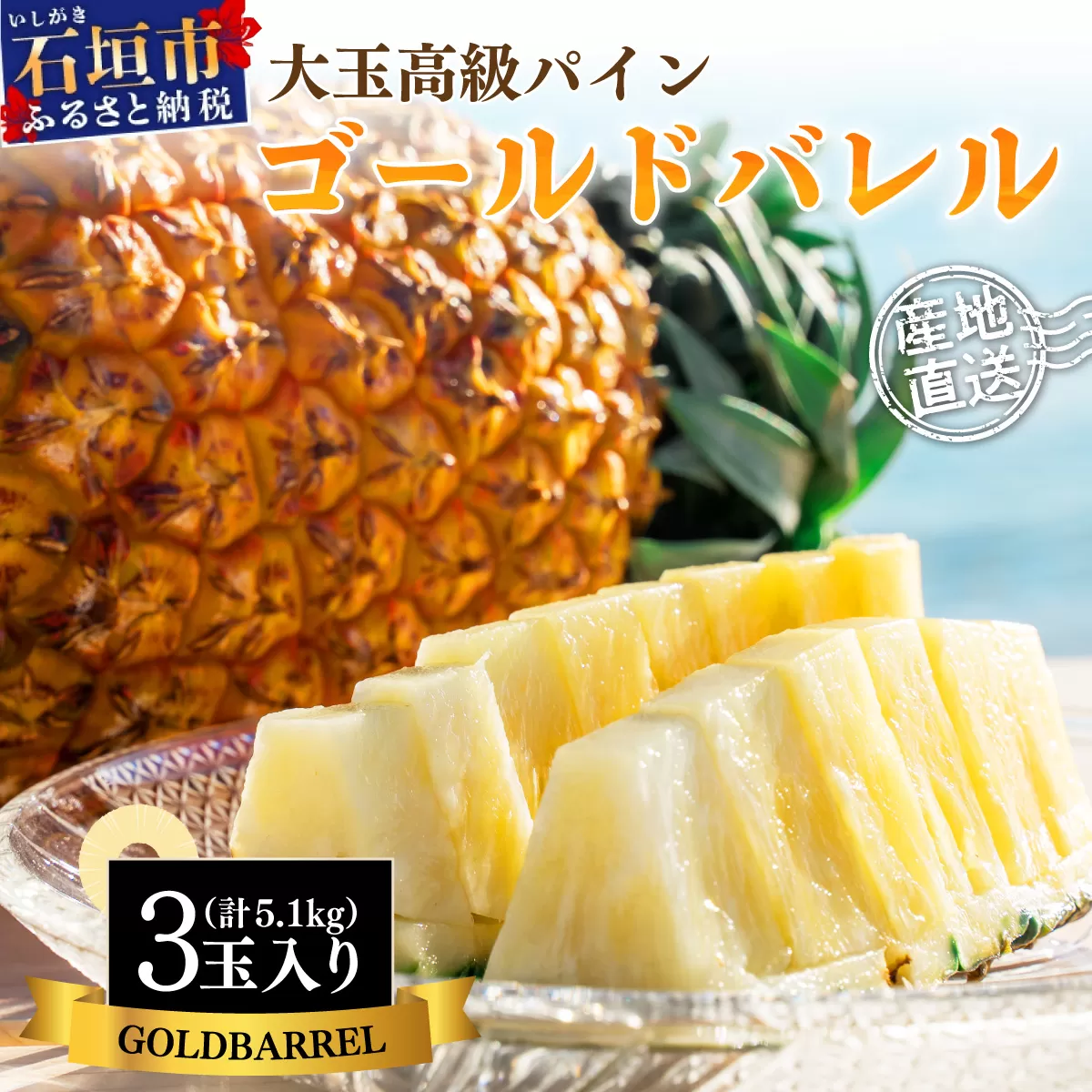 【先行予約】《2025年夏季 順次発送》ゴールドバレルパイン 大玉3個入り 計5.1kg 【 産地直送 沖縄 石垣 フルーツ パイナップル パイン ゴールドバレルパイン 】SI-40