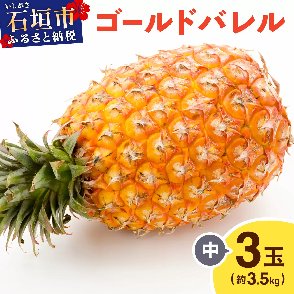 ≪5月上旬順次発送≫ゴールドバレル 中 3玉（約3.5kg） TP-16