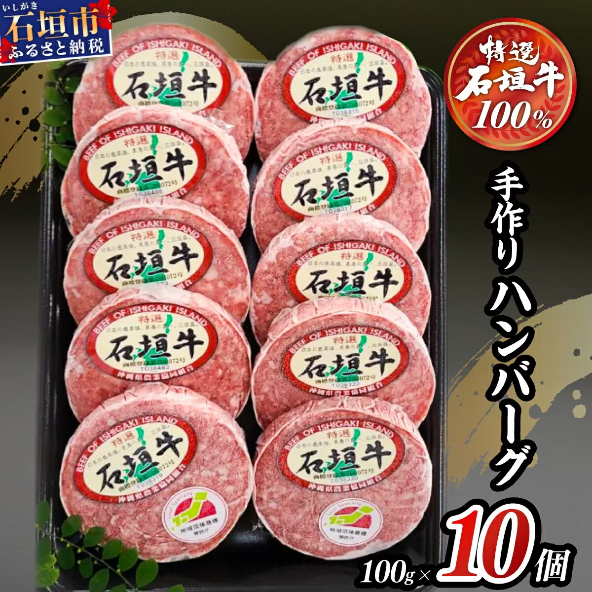 石垣牛 ハンバーグ セット (100g×10個)＜2025年12月発送＞【国産 石垣牛100% 沖縄 石垣島産 高級 黒毛和牛 ビーフ ハンバーグセット 】A-06_12