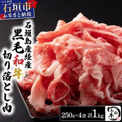 ＜わんの牛＞石垣島産経産黒毛和牛 切り落とし 250g×4袋 合計1kg　NA-02