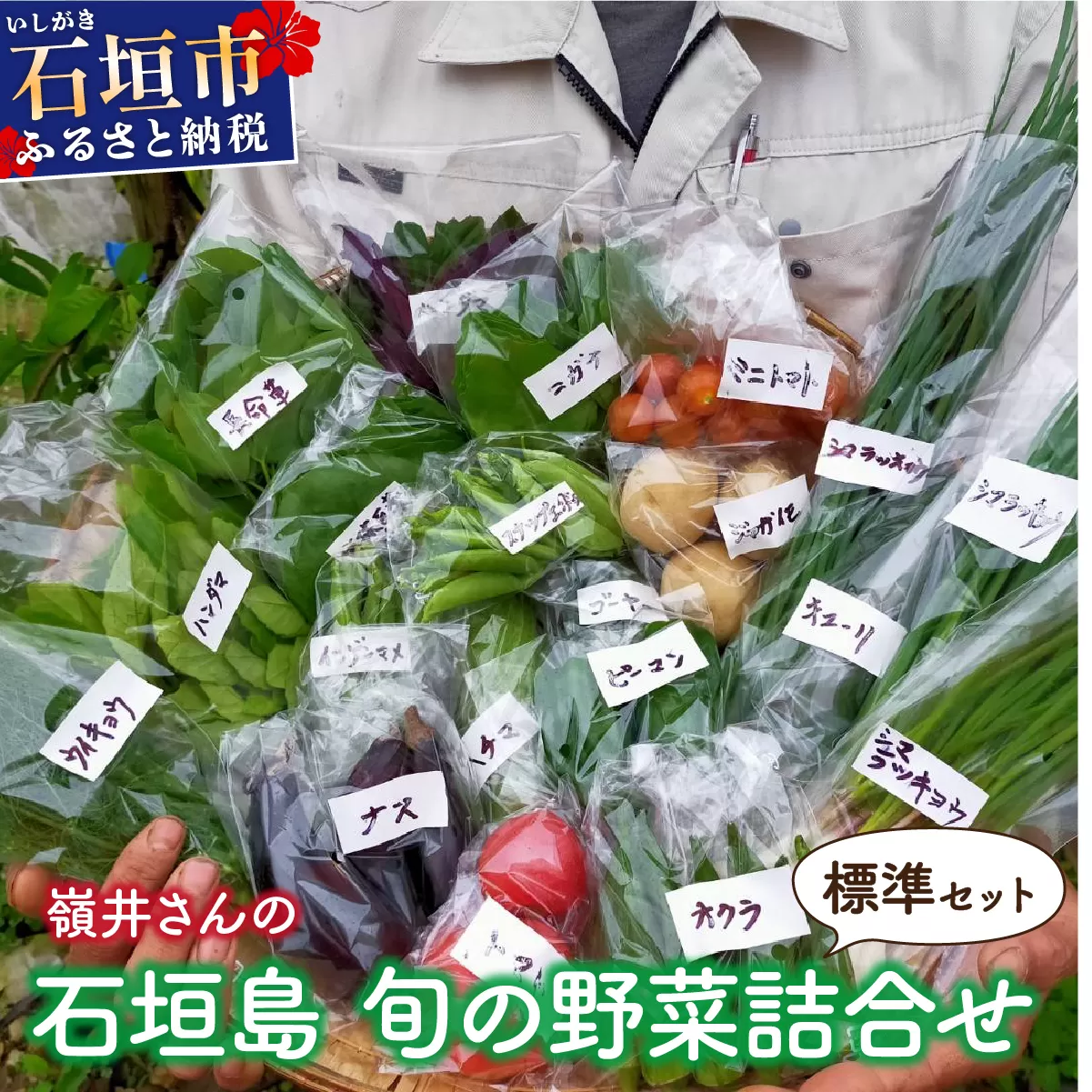 嶺井さんの石垣島旬の野菜詰合せ（標準セット）OI-22