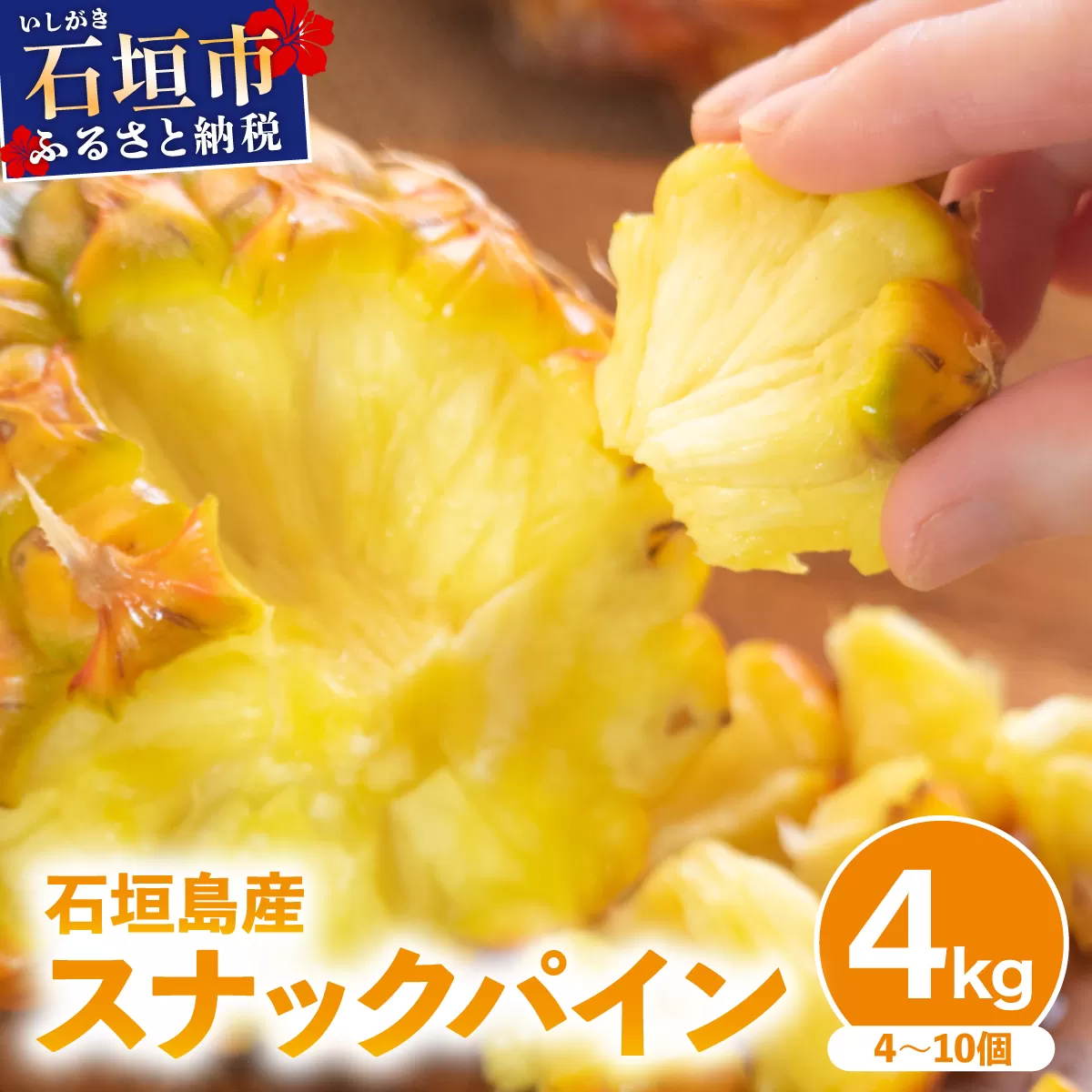 【2026年4月中旬発送】訳あり 石垣島産 スナックパイン 約4kg（4～10個）KP-01 | ふるさと納税 パイナップル 産地直送 フルーツ 果物 パイン 石垣 沖縄 沖縄県石垣市 石垣島