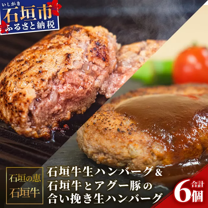 【産地直送】石垣牛生ハンバーグ＆石垣牛とアグー豚の合い挽き生ハンバーグ【合計720g】【日本最南端の黒毛和牛】KB-102