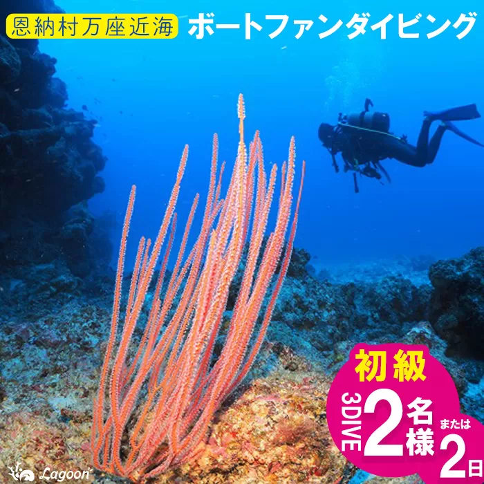 チケット ファンダイビング ｜ 初級3DIVE（2名 or 1名様×2日）万座近海【恩納村ラグーン】