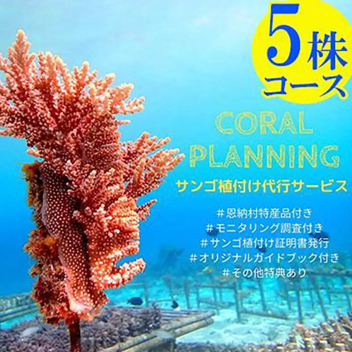 チケット サンゴ植付け ｜ 代行サービス 5株【恩納村ラグーン】