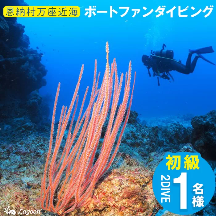 チケット ファンダイビング ｜ 初級2DIVE 1名様 万座近海【恩納村ラグーン】