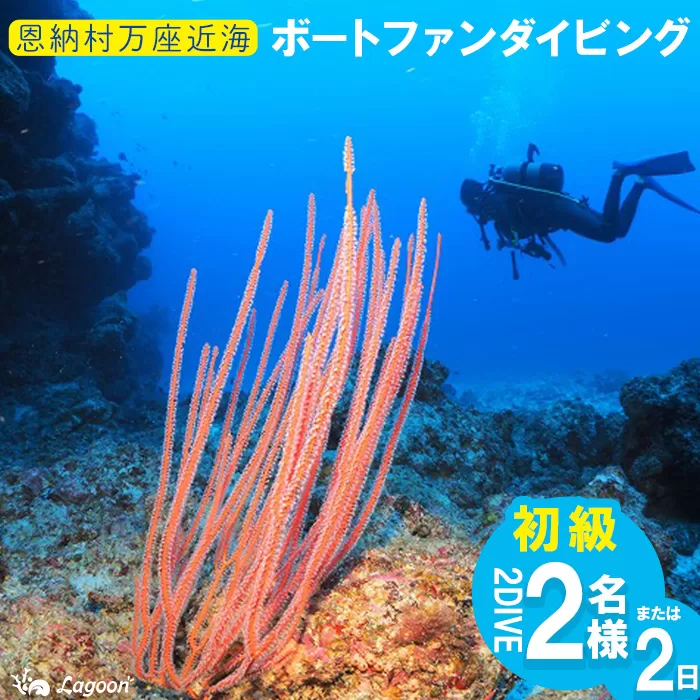 チケット ファンダイビング ｜ 初級2DIVE（2名 or 2日）万座近海【恩納村ラグーン】