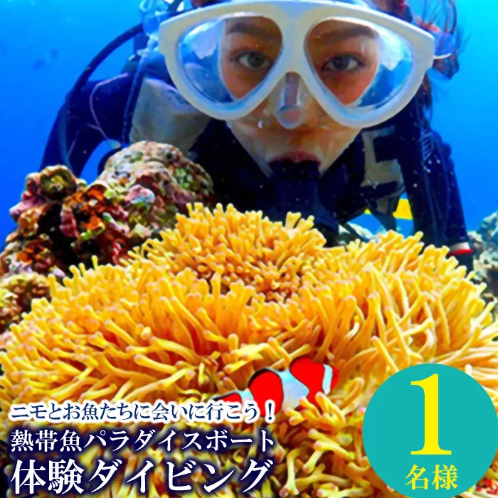 ニモとお魚たちに会いに行こう！熱帯魚パラダイスボート体験ダイビング1名様
