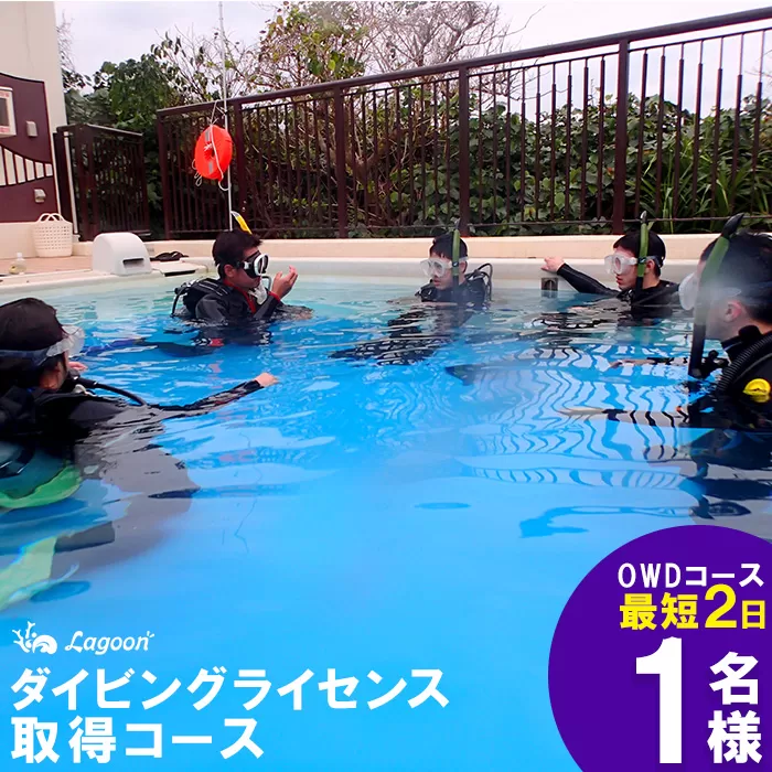 チケット PADIダイビング講習 ｜ 入門OWDコース（2日間eラーニング）1名【恩納村ラグーン】