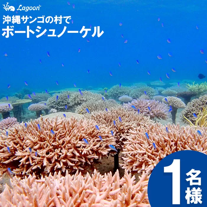 チケット ボートシュノーケル 1名様 沖縄サンゴの村【恩納村ラグーン】