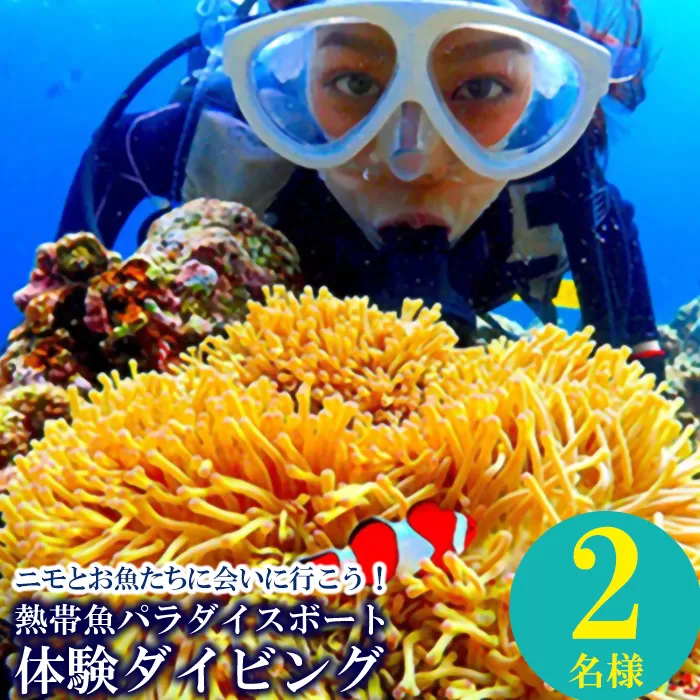 ニモとお魚たちに会いに行こう！熱帯魚パラダイスボート体験ダイビング2名様
