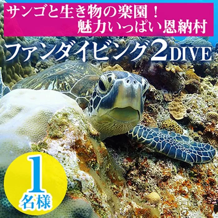 サンゴと生き物の楽園！魅力いっぱい恩納村ファンダイビング（２DIVE）1名様