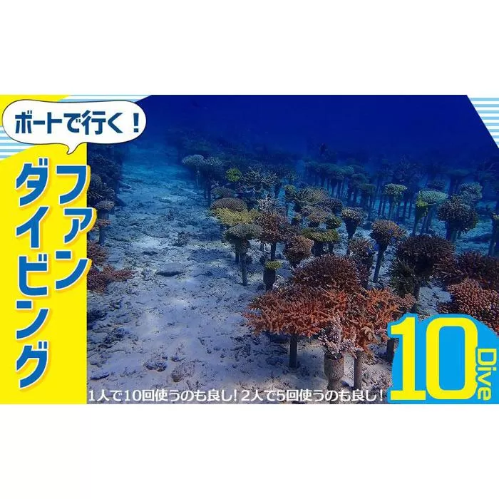 ボートで行く！ファンダイビング（10Dive）