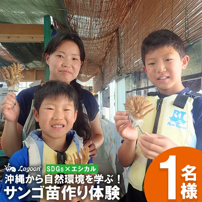 チケット サンゴ苗作り体験 ｜ 沖縄サンゴの村【恩納村ラグーン】