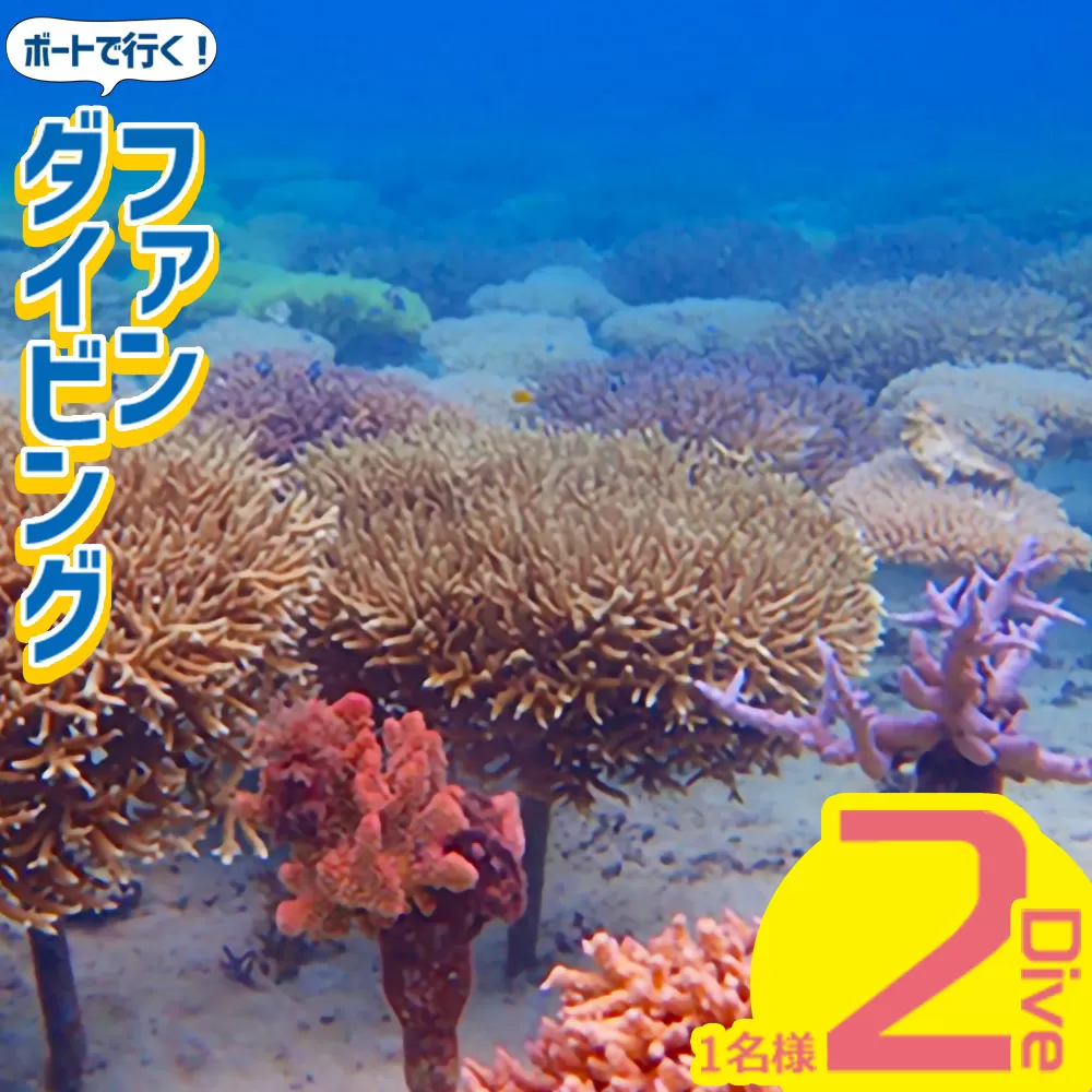 ボートで行く！ファンダイビング（2Dive）