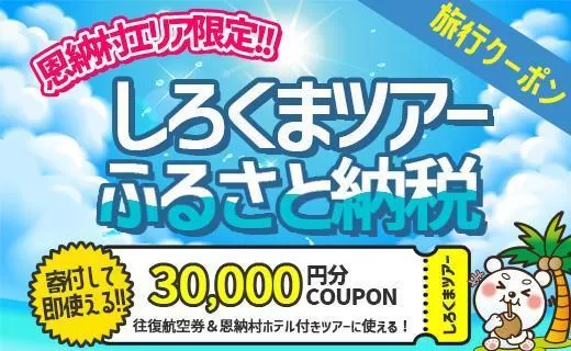 【恩納村】しろくまツアーで利用可能なWEB旅行クーポン（30,000円分）