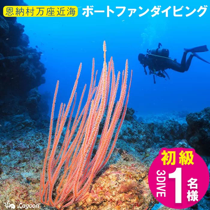 チケット ファンダイビング ｜ 初級3DIVE 1名様 万座近海【恩納村ラグーン】