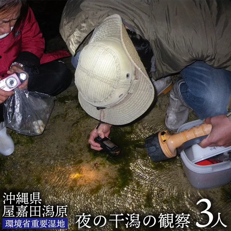 【環境省重要湿地】【屋嘉田潟原】夜の干潟の観察（3人）