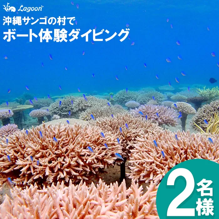 チケット ボート体験 ダイビング 2名 沖縄サンゴの村【恩納村ラグーン】