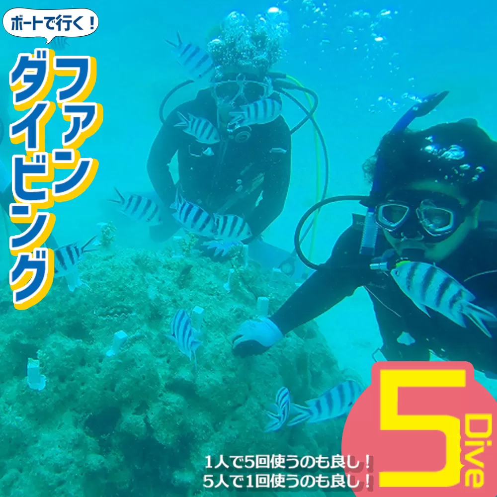 ボートで行く！ファンダイビング（5Dive）