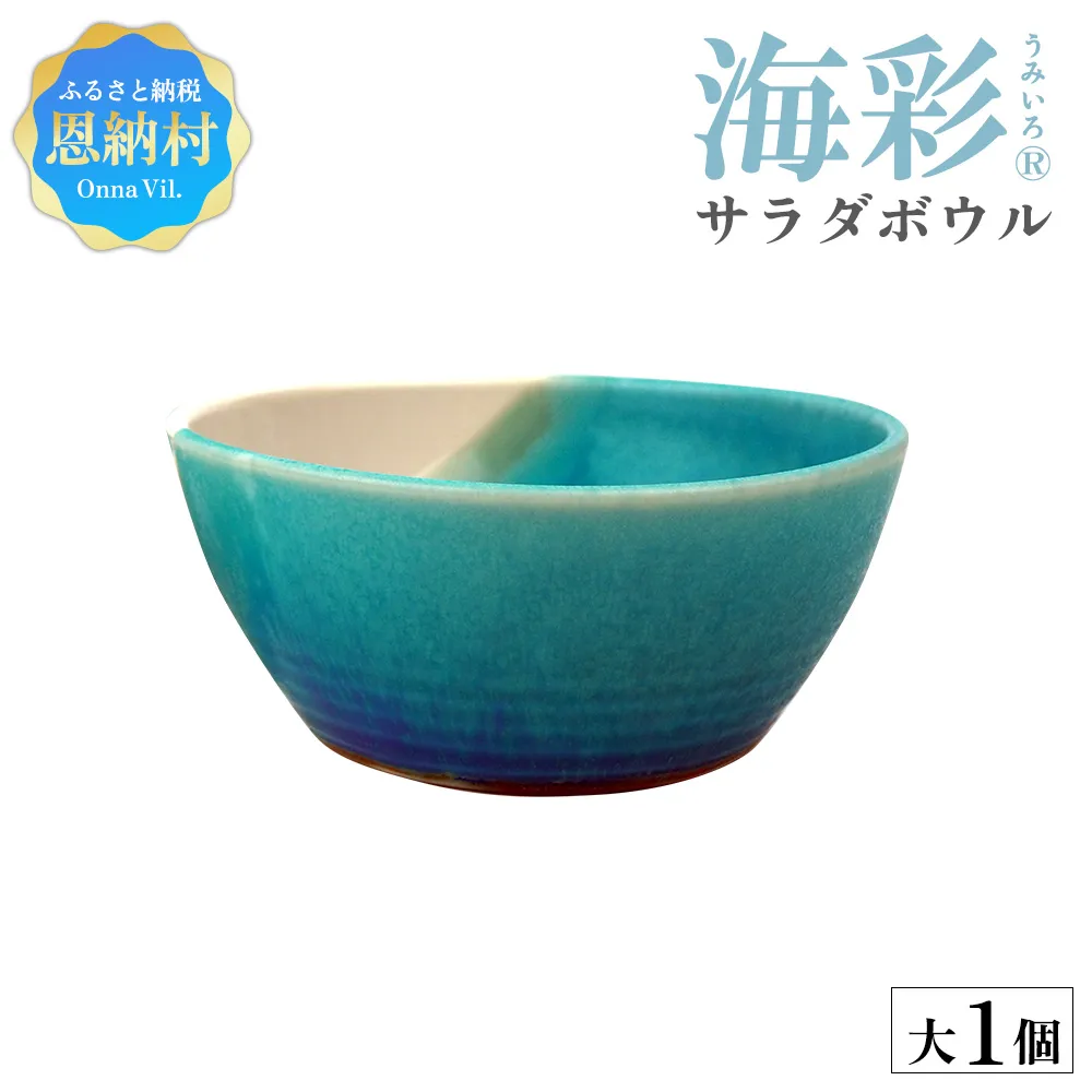【青風窯：海彩】サラダボウル 大 1個（陶芸家・玉田彰）