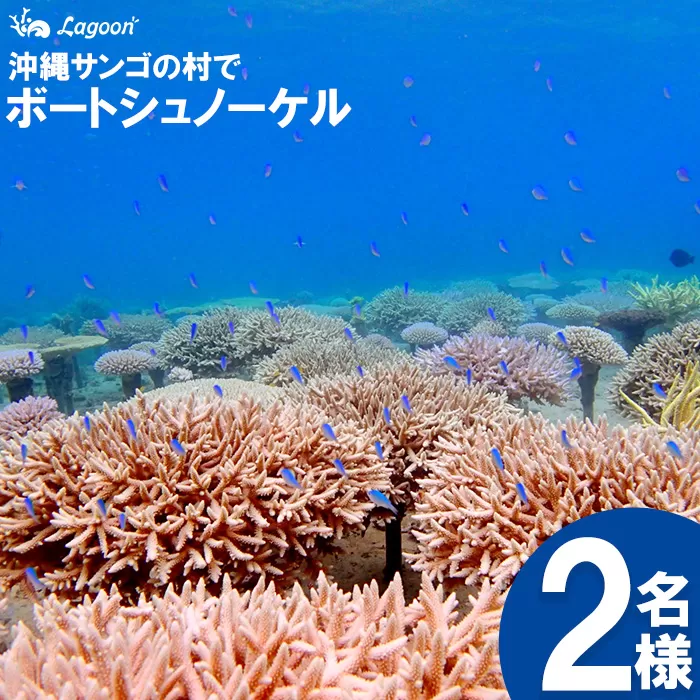 チケット ボートシュノーケル 2名 沖縄サンゴの村【恩納村ラグーン】