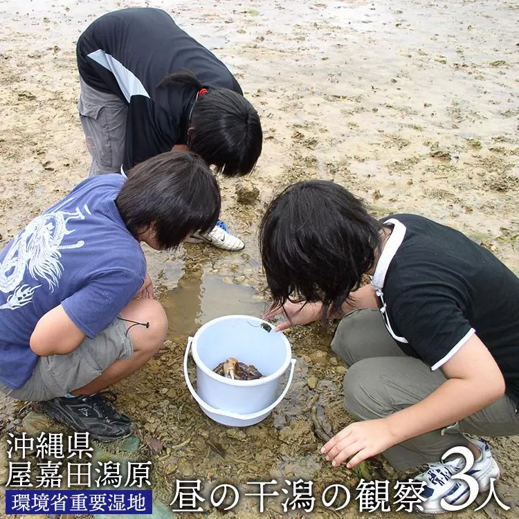 【環境省重要湿地】【屋嘉田潟原】昼の干潟の観察（3人）
