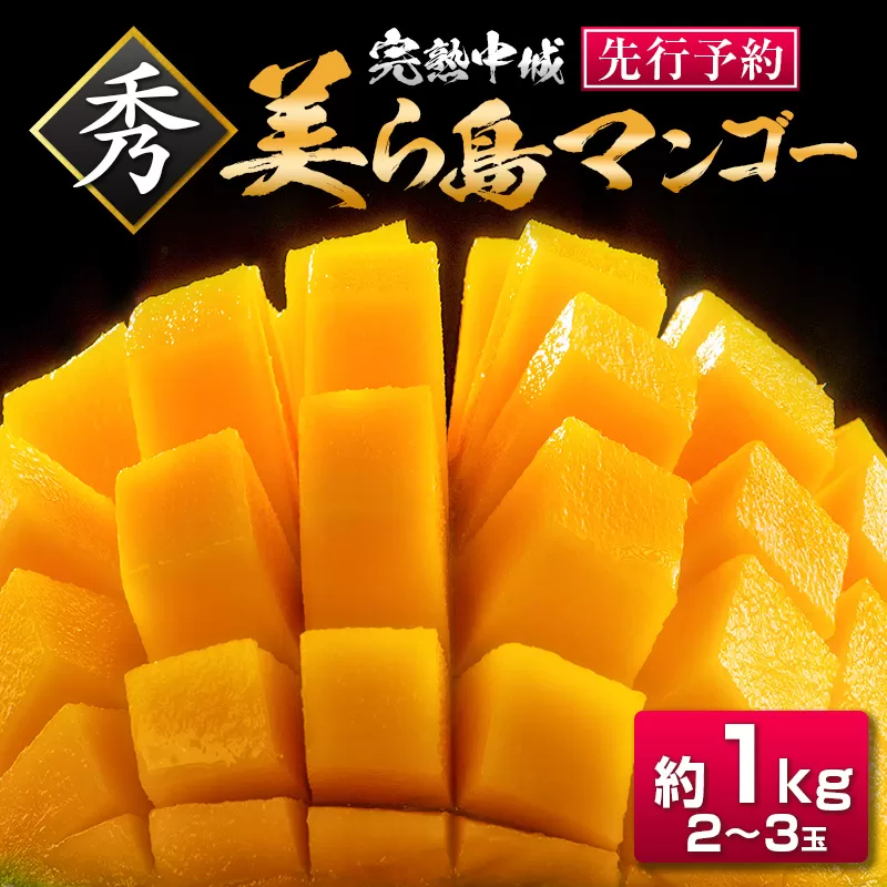 【2025年夏季出荷 先行受付開始！】 完熟中城美ら島マンゴー（秀品） 約1kg　沖縄特産品マンゴー 人気マンゴー 絶品マンゴー 完熟マンゴー アップルマンゴー 贈答 贈り物 ギフト 季節限定 中城村特産品 トロピカル mango MANGO