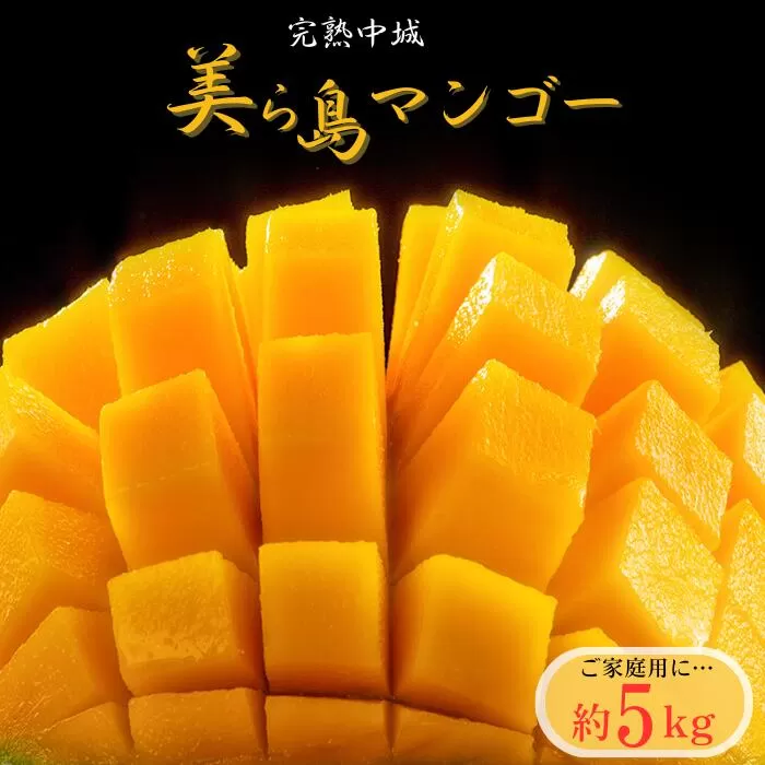【2025年夏季出荷 先行受付開始！】 完熟中城美ら島マンゴー（優品） 約5kg　沖縄県産 特産品マンゴー アップルマンゴー 家庭用 大容量 季節限定 果物 フルーツ スイーツ マンゴージュース マンゴーソルベ