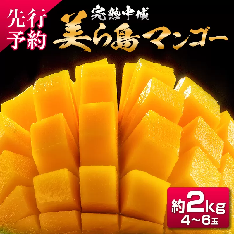 【2025年夏季出荷 先行受付開始！】 完熟中城美ら島マンゴー（優品） 約2kg　沖縄特産品マンゴー 人気マンゴー 絶品マンゴー 完熟マンゴー アップルマンゴー 贈答 贈り物 ギフト 季節限定 中城村特産品 トロピカル mango MANGO