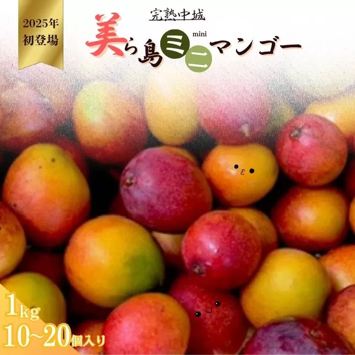完熟沖縄ミニマンゴーご家庭用約1ｋｇ（10～20個入）2025年発送　沖縄 特産品 フルーツ 果物 デザート スイーツ おすすめ オススメプレゼント お土産 お見舞い 期間限定 数量限定