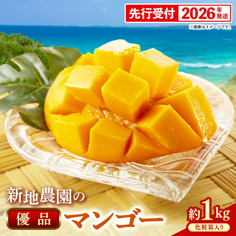 【化粧箱入り】【先行受付・2026年発送】新地農園 アップルマンゴー 優品 約1kg （2～3玉）- 産地直送 先行予約 沖縄県産 贈り物 ギフト 南国フルーツ 旬の味覚 オススメ 沖縄県 八重瀬町