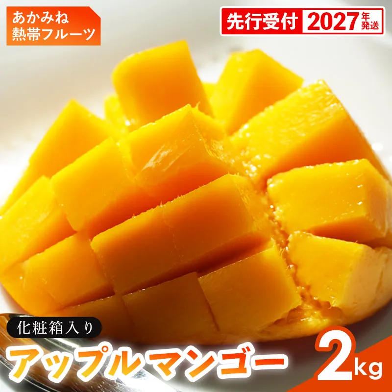 【化粧箱入】【先行受付・2027年発送】あかみね熱帯フルーツのアップルマンゴー 約2kg - 先行予約 沖縄県産 産地直送 南国フルーツ 旬の味覚 季節の果物 贈り物 ギフト 沖縄県 八重瀬町
