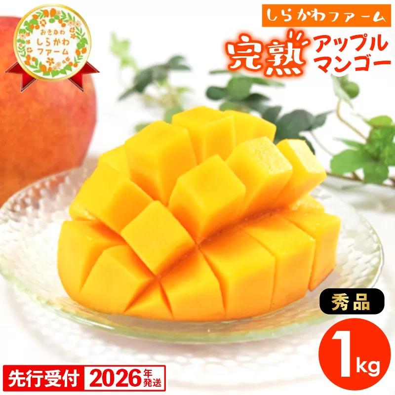 【先行受付】【2026年発送】しらかわファームのアップルマンゴー 秀 約1kg - 先行予約 沖縄 産地直送 南国フルーツ 旬の味覚 旬のフルーツ 贈り物 ギフト 沖縄県 八重瀬町