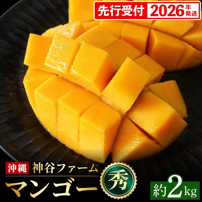【化粧箱入】【先行受付・2026年発送】神谷ファームのマンゴー（秀）約2kg - 先行予約 沖縄県産 産地直送 南国フルーツ 旬の味覚 季節の果物 贈り物 ギフト 沖縄県 八重瀬町