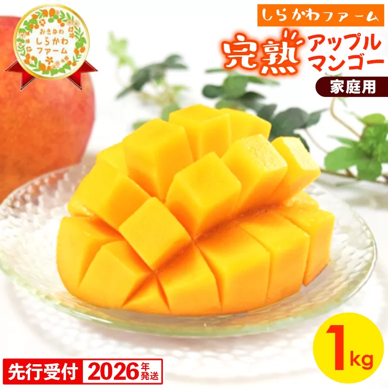 【先行受付】【2026年発送】しらかわファームの家庭用アップルマンゴー約1kg - 先行予約 沖縄県産 産地直送 南国フルーツ 旬の味覚 季節の果物 ご自宅用 家庭用 沖縄県 八重瀬町