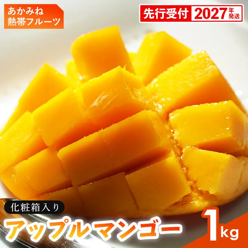 【化粧箱入】【先行受付・2027年発送】あかみね熱帯フルーツのアップルマンゴー 約1kg - 先行予約 沖縄県産 産地直送 南国フルーツ 旬の味覚 季節の果物 贈り物 ギフト 沖縄県 八重瀬町
